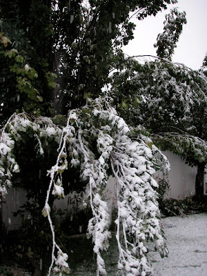 early snow in Utah