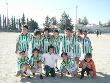 Pés de xumbo