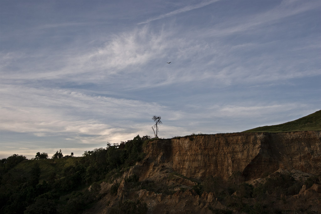 Late light on the big slip