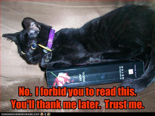 [funny-pictures-cat-does-not-want-you-to-read-book.jpg]