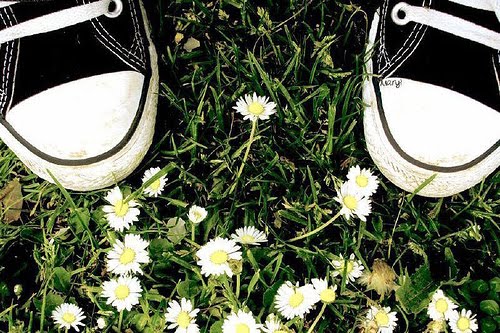 [251065662_6615b49a23.jpg]