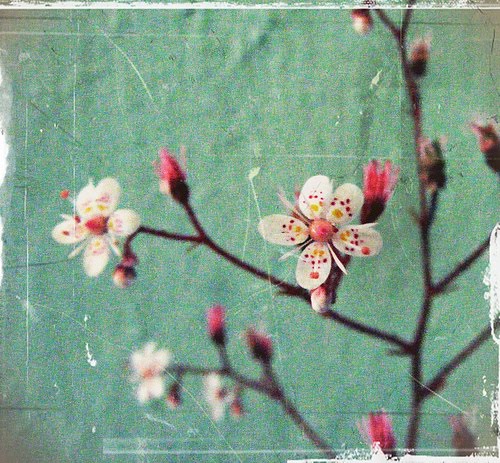 [2499004367_ed3042b2ac.jpg]