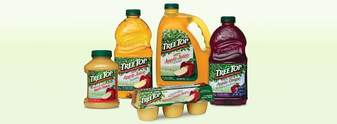 [tree+top.jpg]