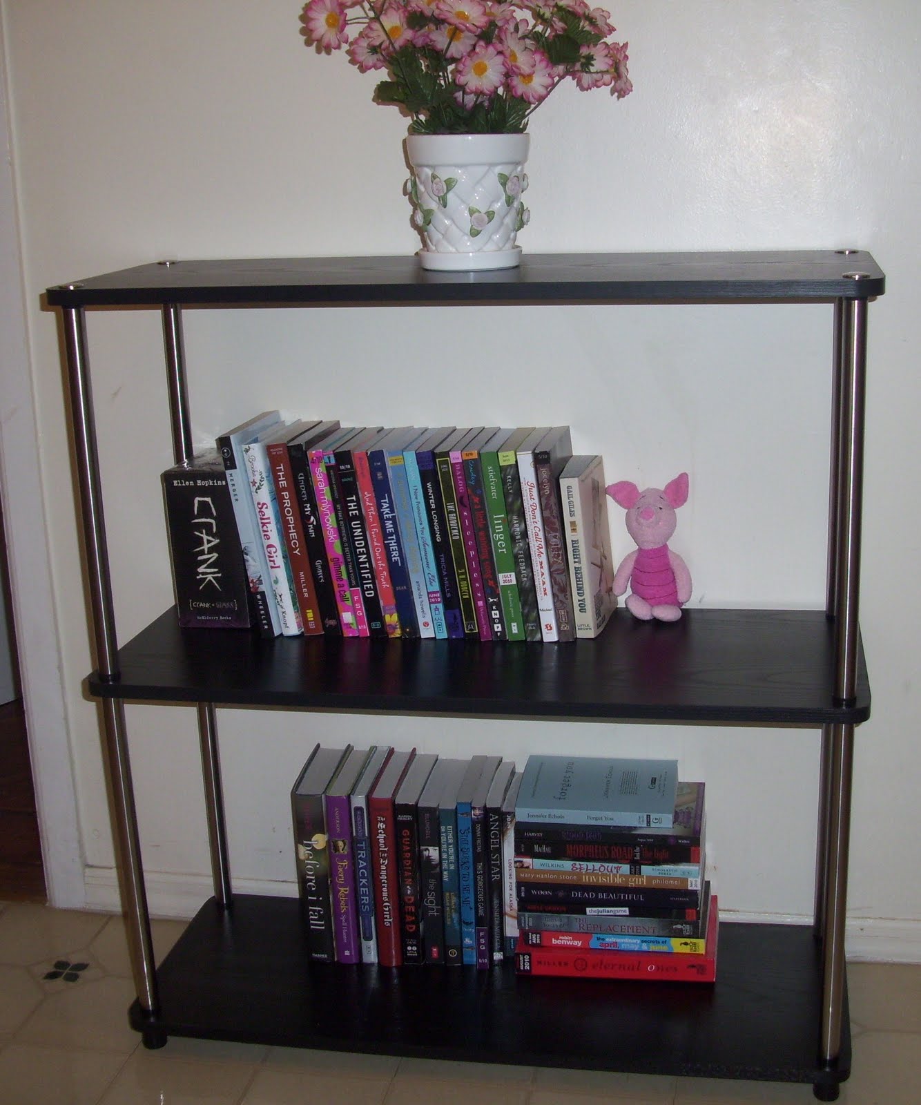 LA FEMME READERS - //: CSN Stores: Bookshelf Review
