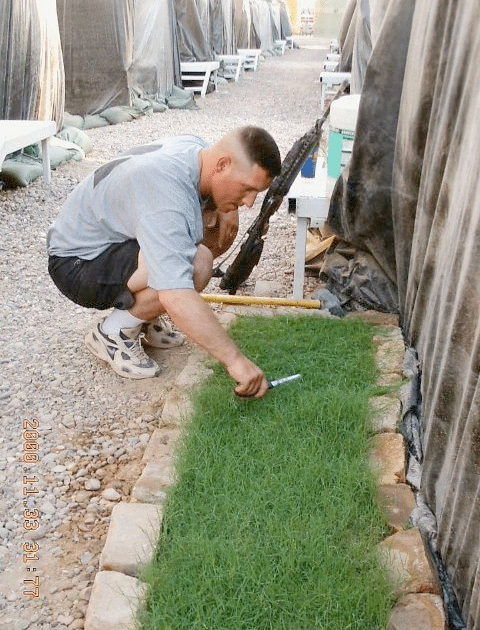 Heart Tugs At The Crossroads Of Humanity Canadian Soldier Growing Grass In Afghanistan 