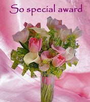 So Special Award