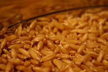 How to Sprout Grain