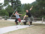 Shuffleboard Anyone?