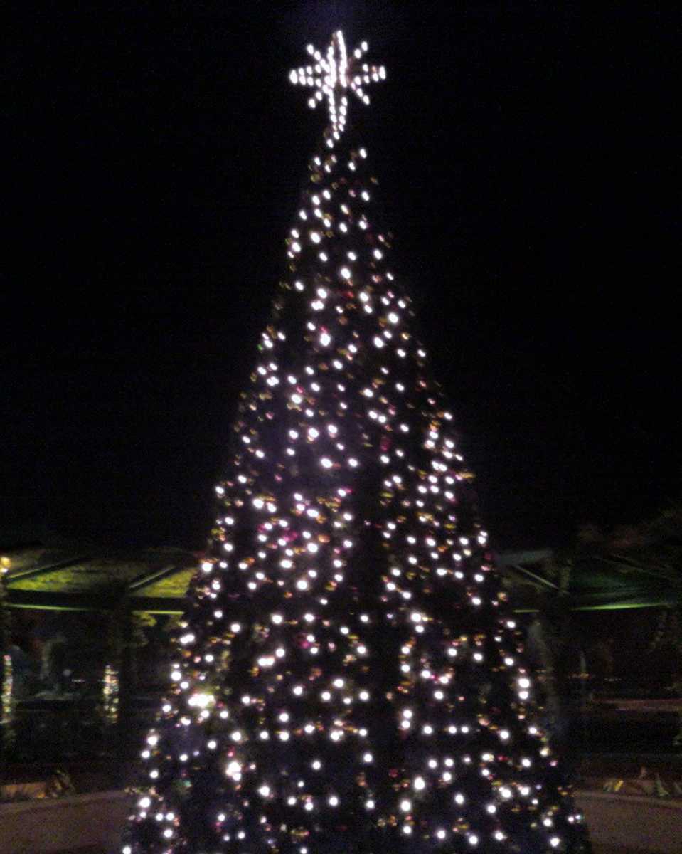[whereinnatomasholidayedited.jpg]