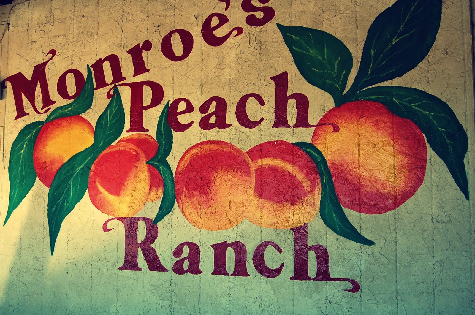 Monroes Peach Ranch Hedley TX