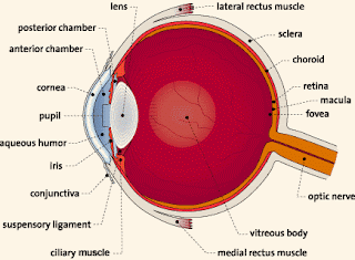 Sekar's science world: July 2009
