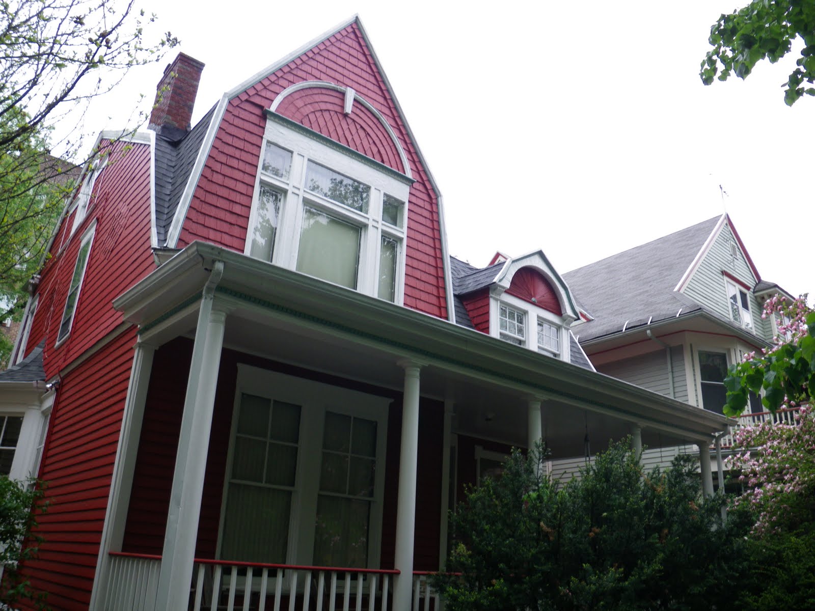 Frogma Full Spectrum in Victorian Flatbush