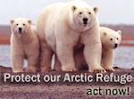 Help protect the polar bears and other animals..