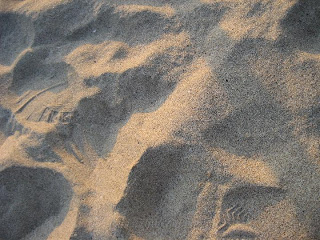 嵵裡海灘的沙