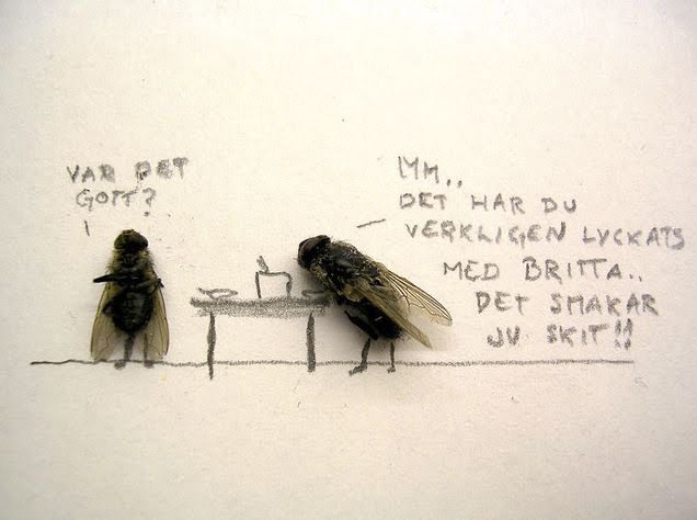 dead flies art