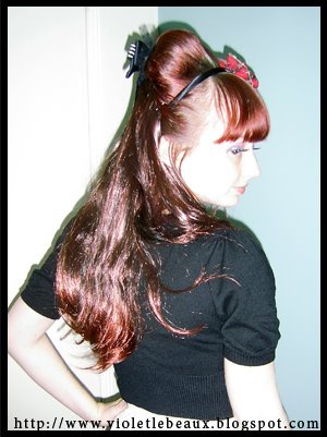 [extensions1.jpg]