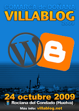 Participante Villablog