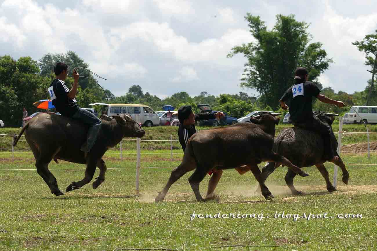 photographic world of t.p.tong my 2500km travel frm Sibu to KK