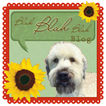 Blah, Blah, Blah Blog