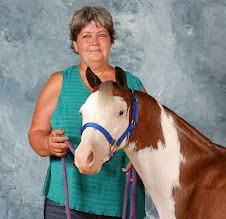 Pat Elder