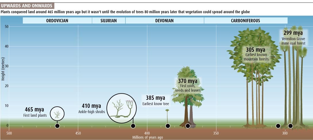 Science and Evolution: How trees changed the world