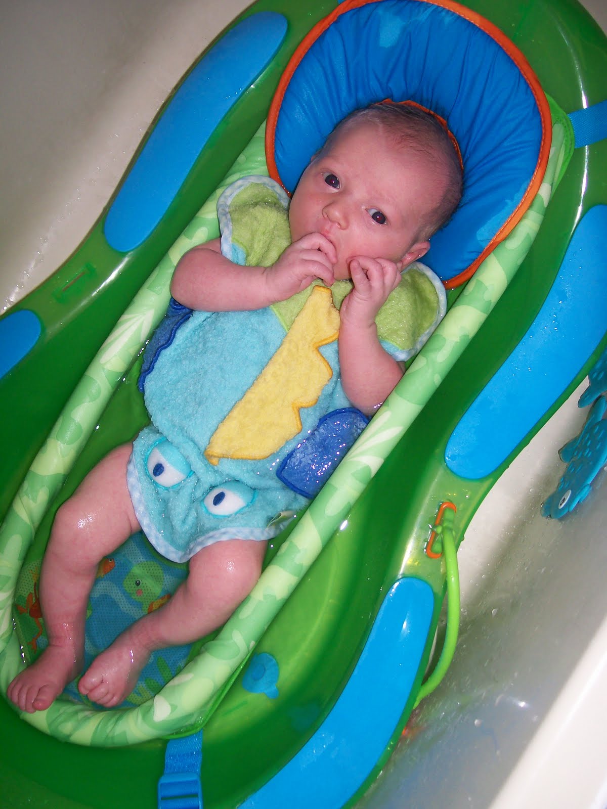 [aden+bath+gate+002.JPG]
