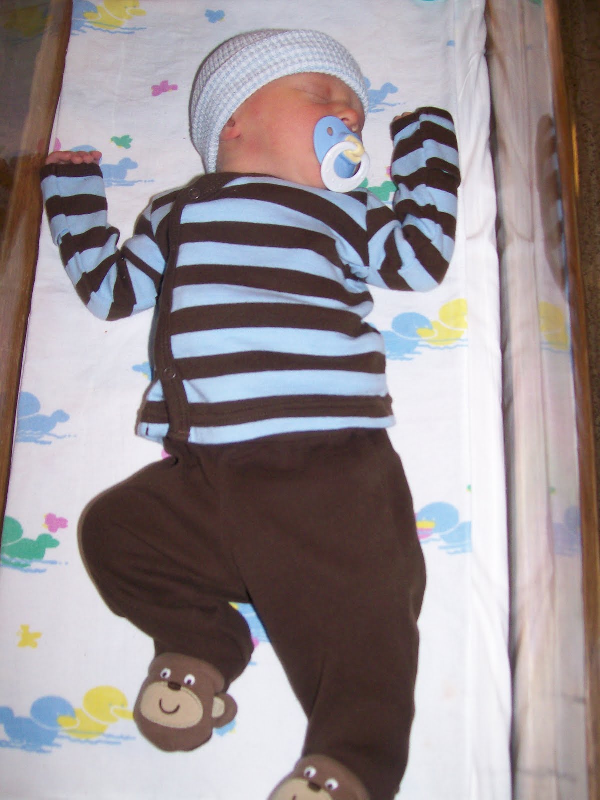 [aiden+089.JPG]