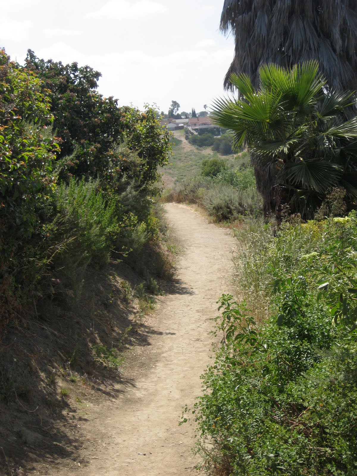 kenneth hahn bike trails