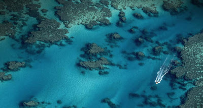 Great Barrier Reef Bing Wallpaper 