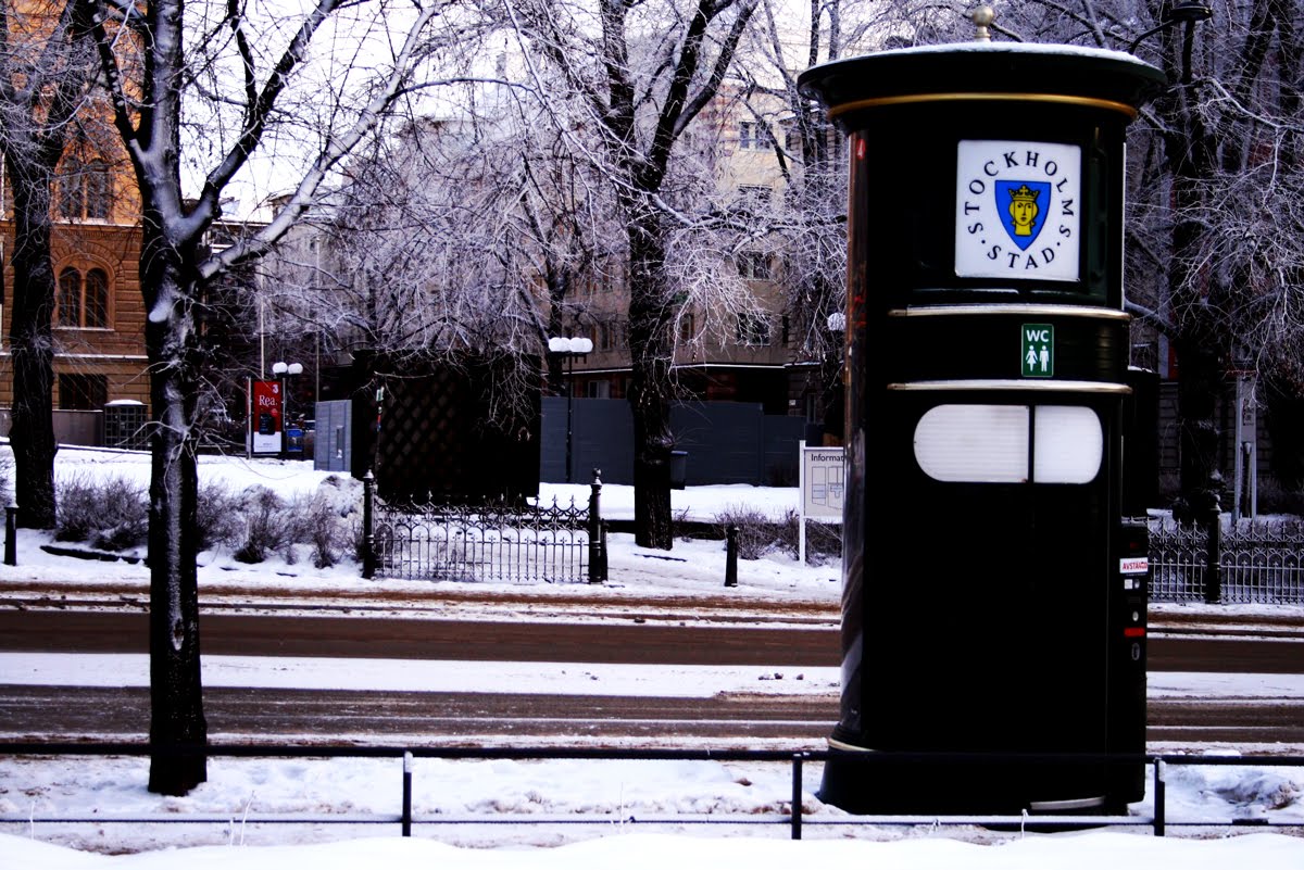 [Snowball09_0050.jpg]