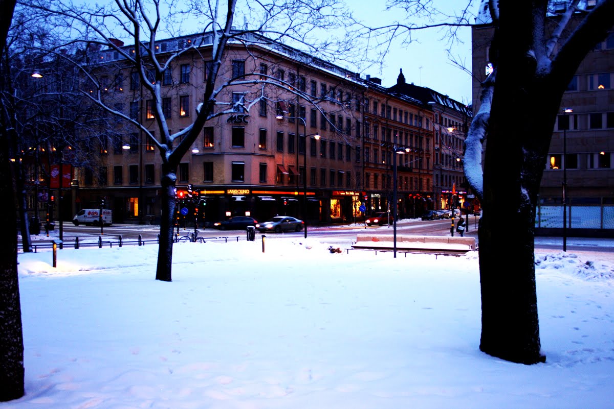 [Snowball09_0121.jpg]