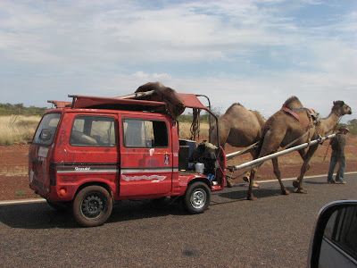 Camel+Car+north+of+Tenant+Creek.jpg
