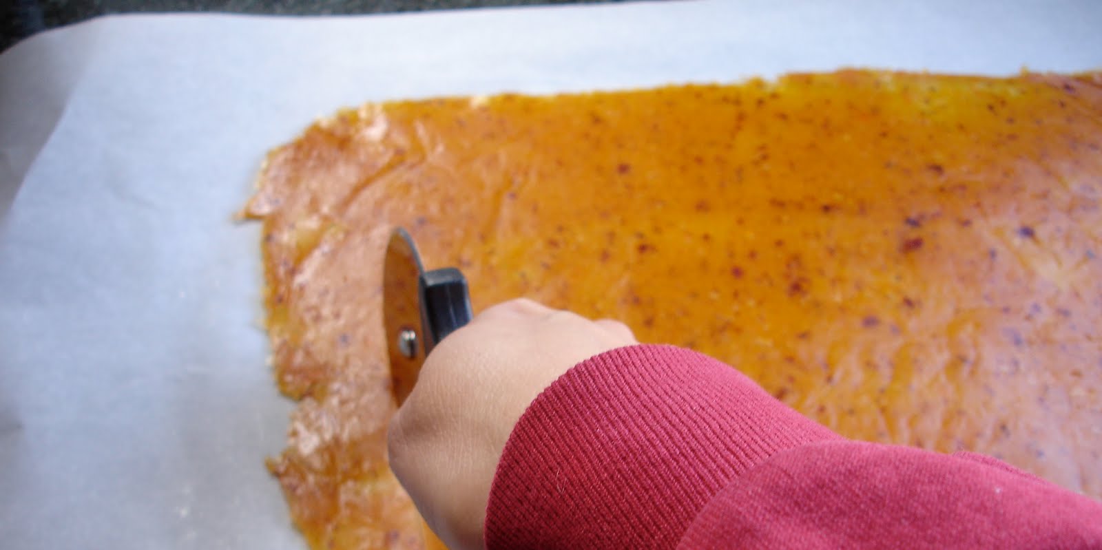 From Which Things Grow Chew on This Homemade Apricot Fruit Roll Ups