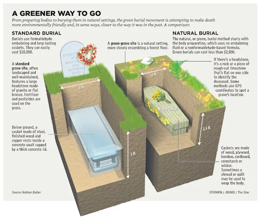 A Greener way to go