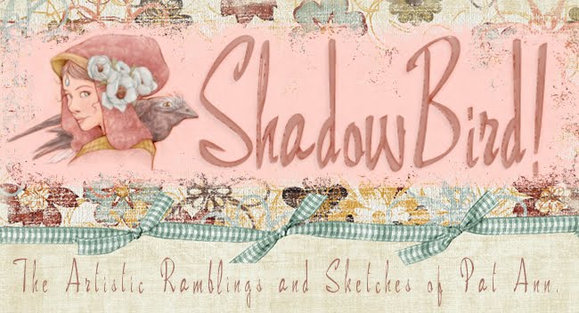 ShadowBird: The Work of P.A. Lewis