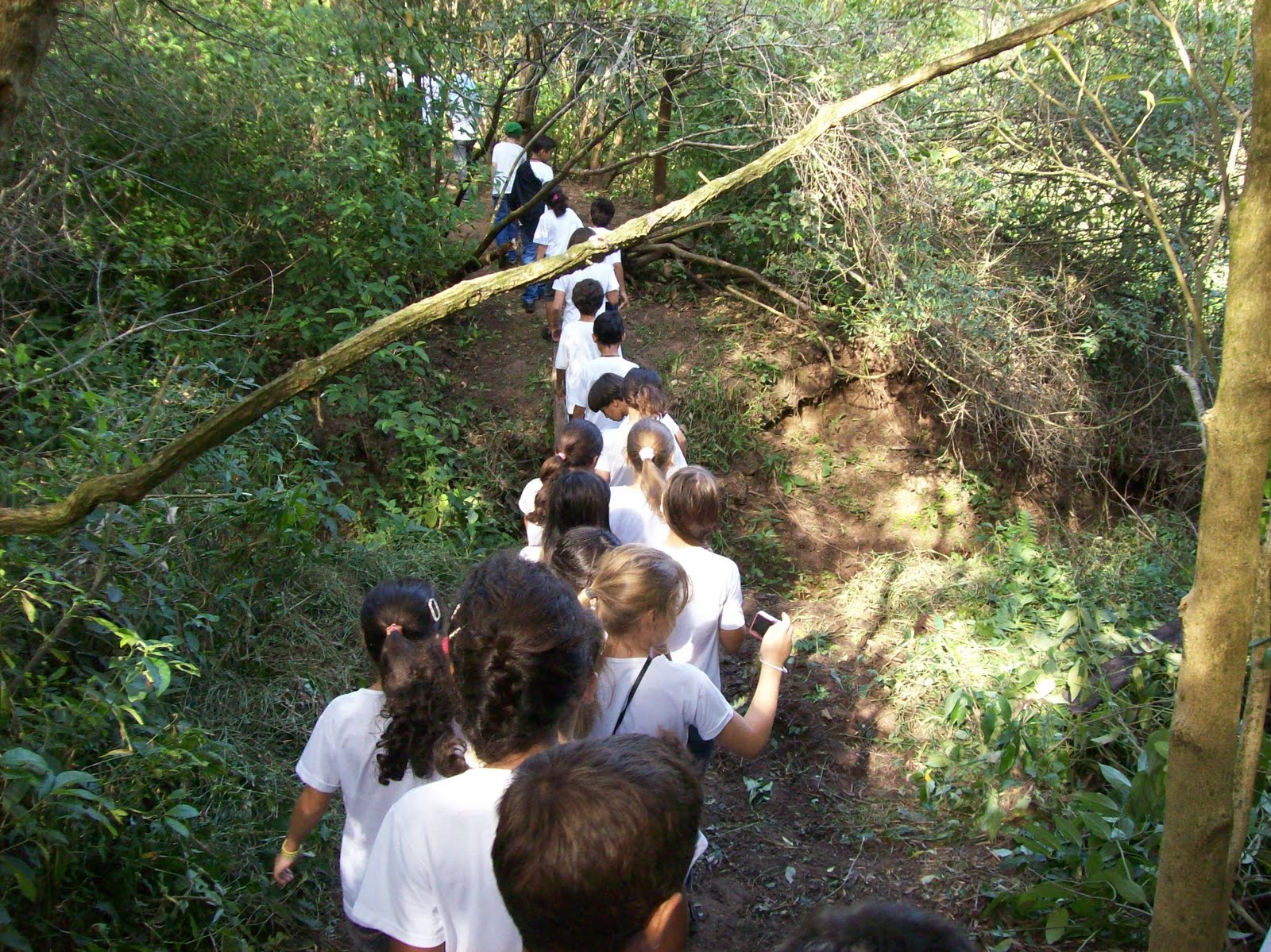 Pirapozinho VerdeAzul PIRAPOZINHO REALIZA ECOTURISMO MUNICIPAL COM
