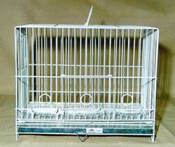 [gaiola+individual.jpeg]