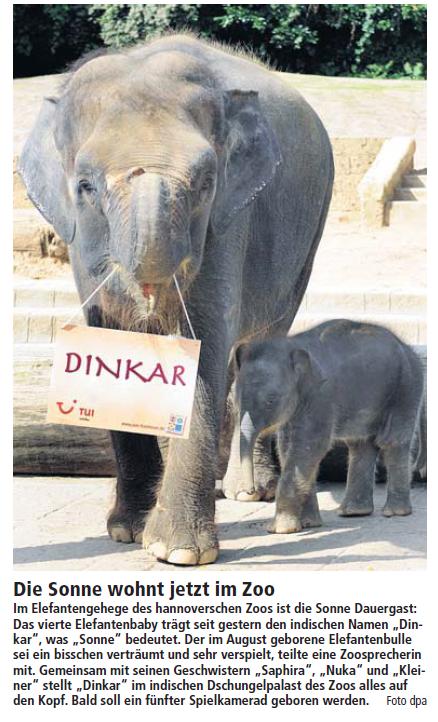 Cappuccino Meer Ist Das Nicht Ein Schones Foto
