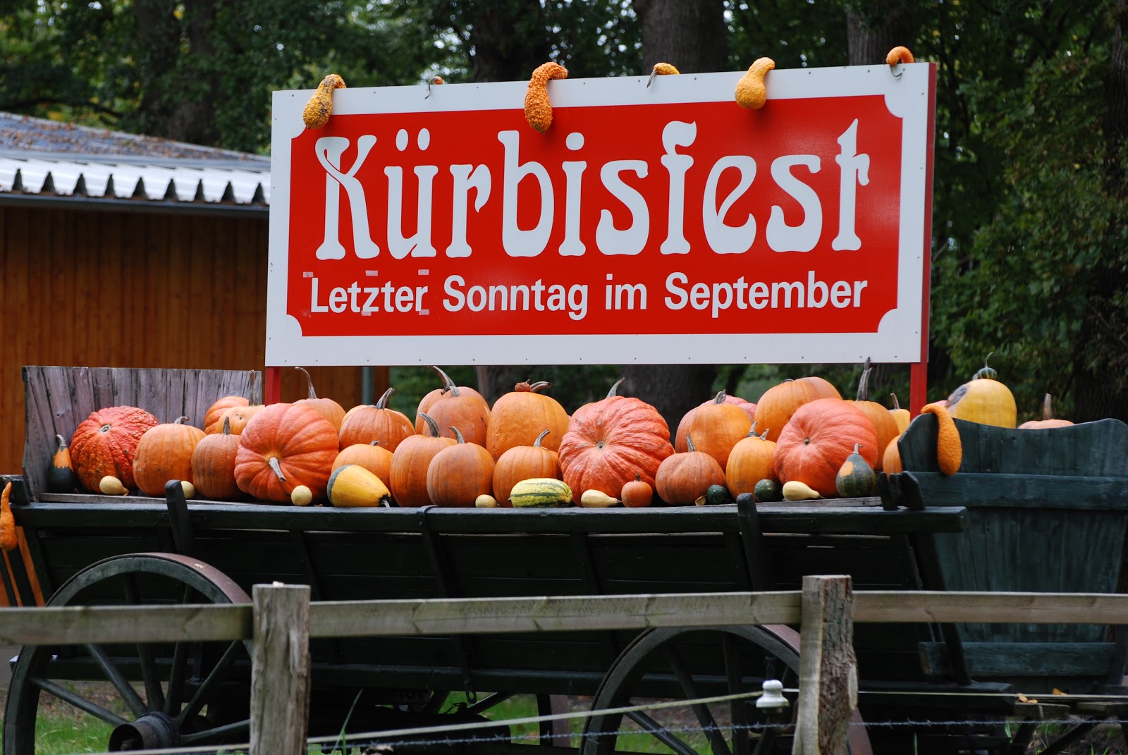 Cappuccino & Meer Das Kürbisfest in Ohlenstedt.....