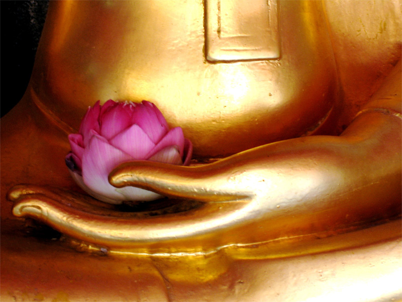 http://1.bp.blogspot.com/_b9N-E81zXwg/TP-yVPP4NXI/AAAAAAAAMKE/5DQChZHWZqE/s1600/Buddha-with-flower.jpg