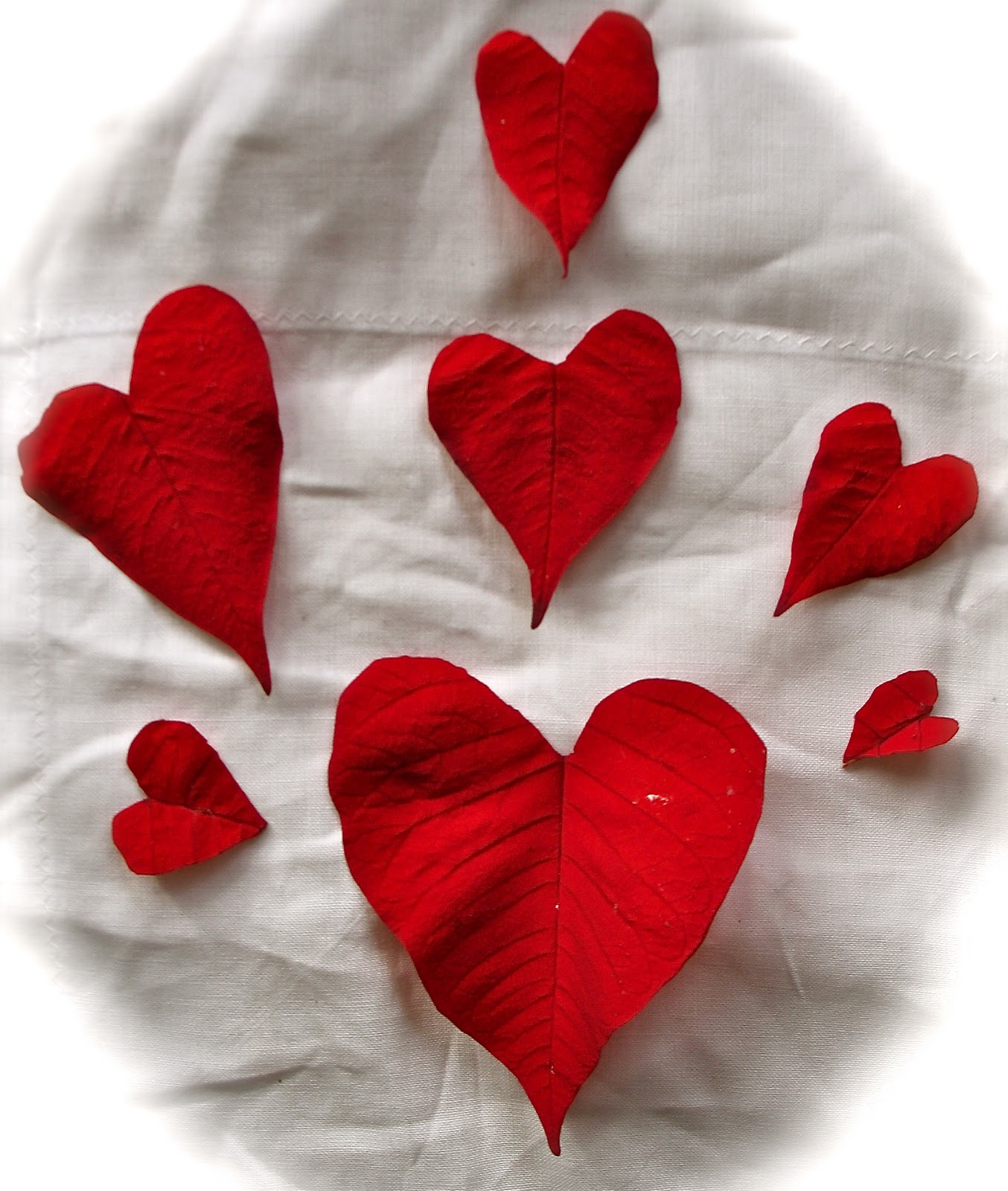 Twig and Toadstool: Love Inspired Suncatchers