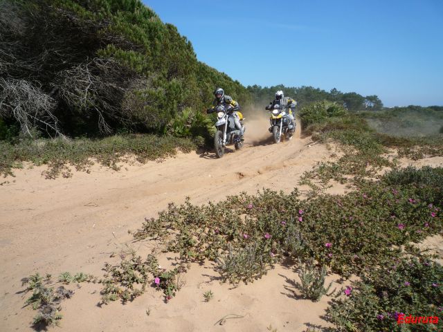 [DSC02825.2.JPG]