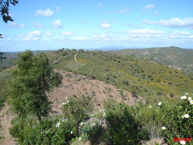 [DSC02871.JPG]