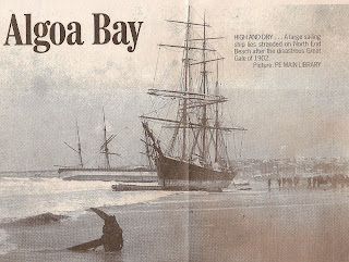 eastern-province-herald-newspaper-article-algoa-bay-port-elizabeth