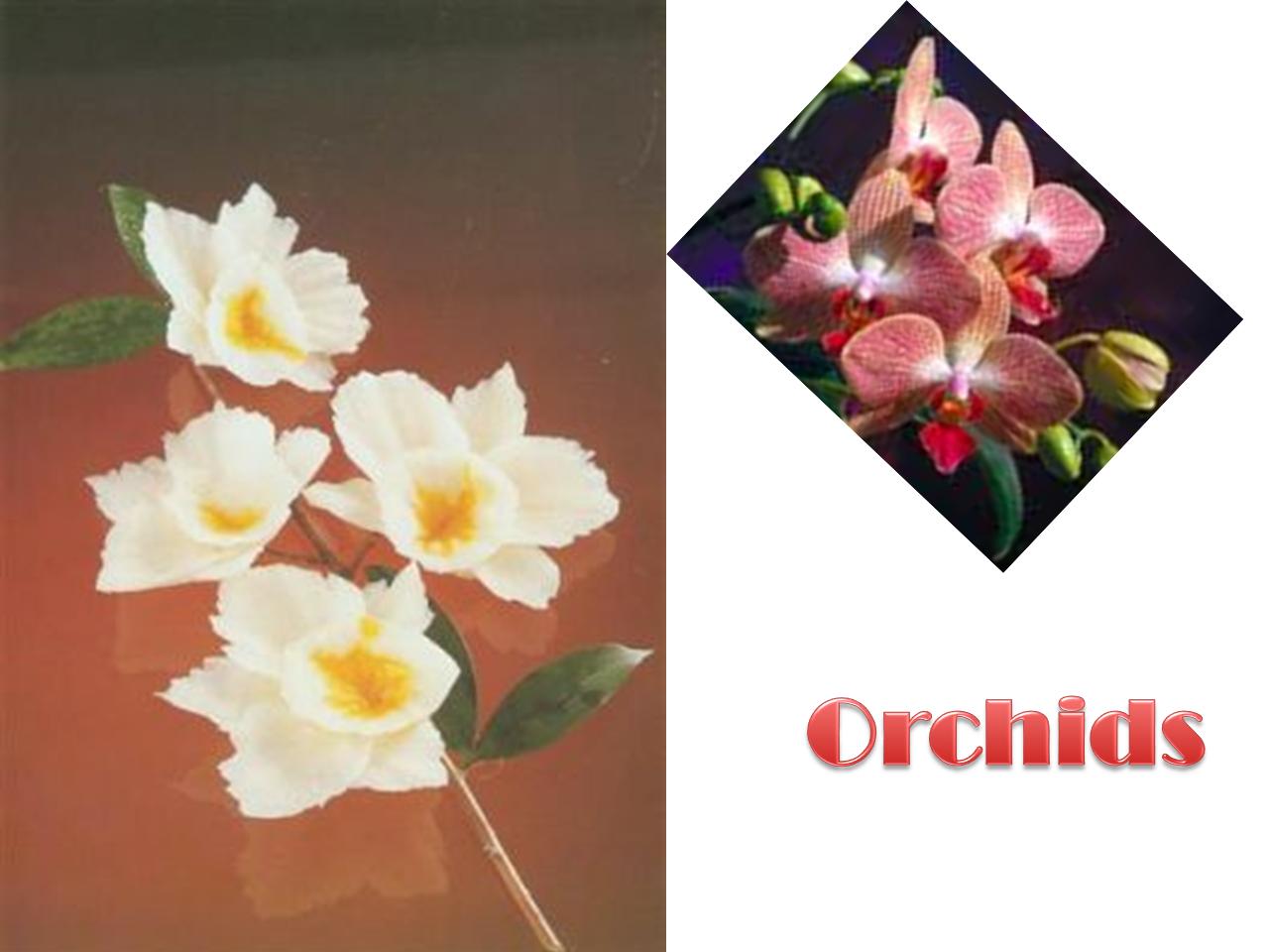 Food Decoration Orchids