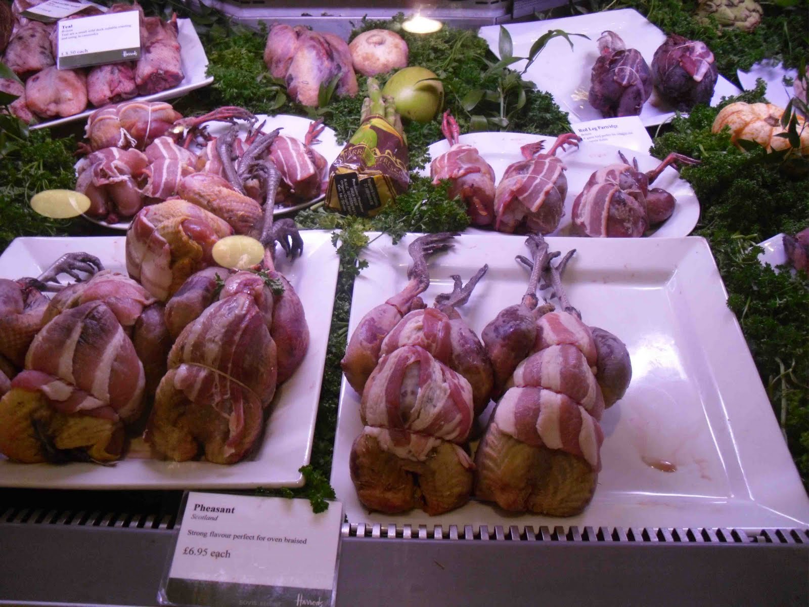 [anyone+for+pheasant.jpg]