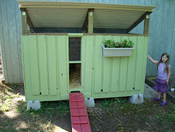 hobby lobby chicken coop 4