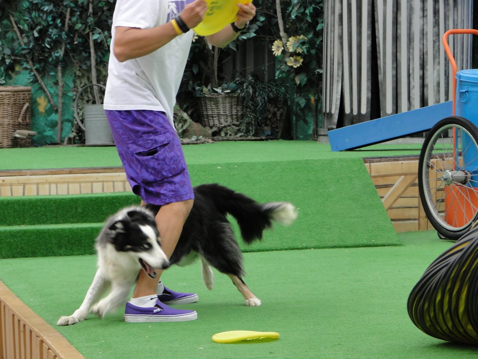 O.C. Smart Pets Pets Rule at SeaWorld San Diego!