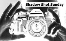 [Shadow+Shot+Sunday+logo1.JPG]