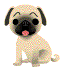 Cachorro animado